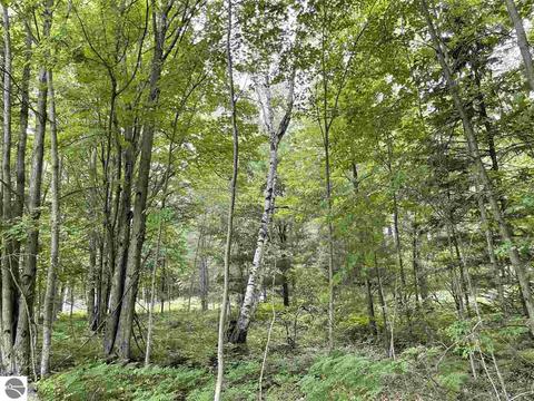1198 E Pointe Dr, Beaverton, MI 48612 photo 4