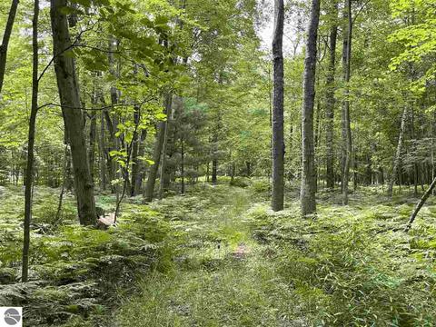 1198 E Pointe Dr, Beaverton, MI 48612 photo 6