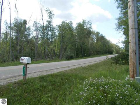 4559 E State, Hale, MI 48739 photo 77
