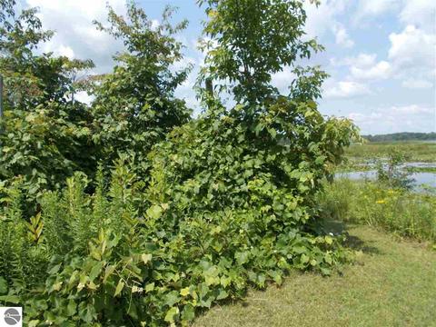 4559 E State, Hale, MI 48739 photo 80