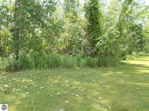 4559 E State, Hale, MI 48739 photo 85