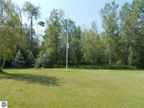 4559 E State, Hale, MI 48739 photo 13