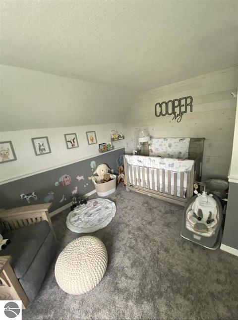31 N Ely Hwy, Ithaca, MI 48847 photo 9