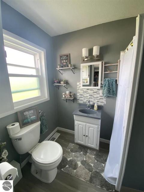 31 N Ely Hwy, Ithaca, MI 48847 photo 5