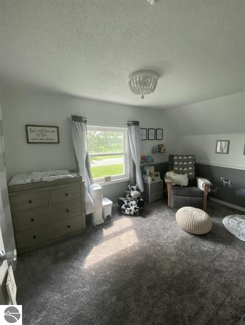 31 N Ely Hwy, Ithaca, MI 48847 photo 7