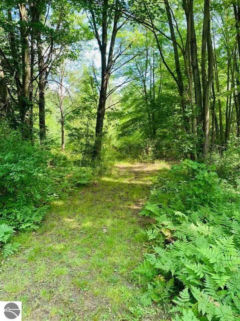 8867 E Remus Rd, Mount Pleasant, MI 48858 photo 28