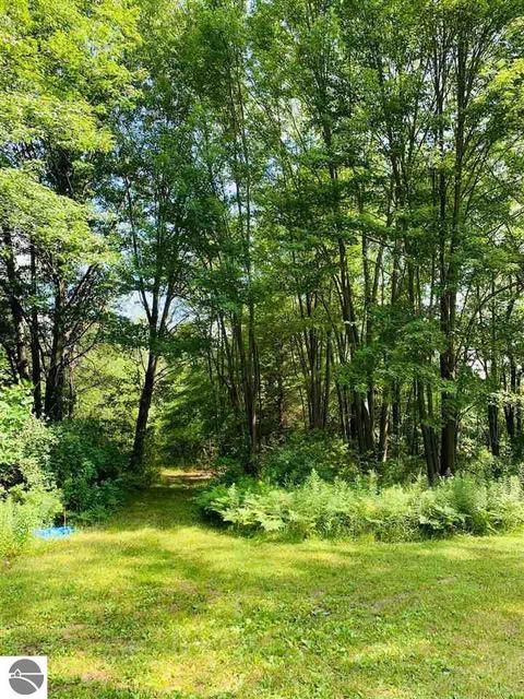 8867 E Remus Rd, Mount Pleasant, MI 48858 photo 26