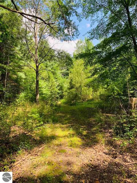 8867 E Remus Rd, Mount Pleasant, MI 48858 photo 29