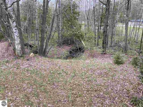 11199 S Cedar Rd, Cedar, MI 49621 photo 17