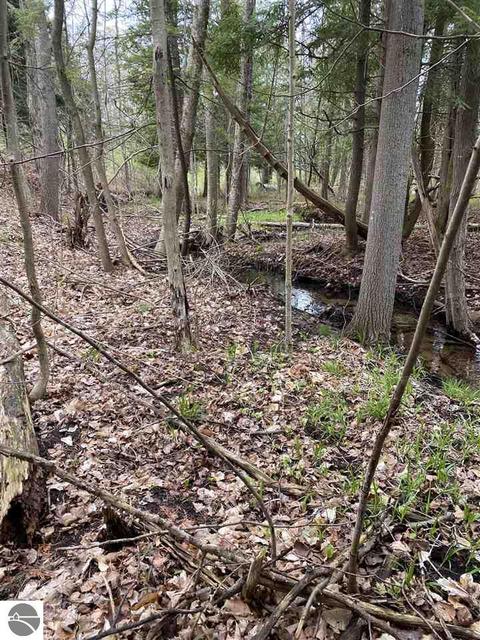 11199 S Cedar Rd, Cedar, MI 49621 photo 3