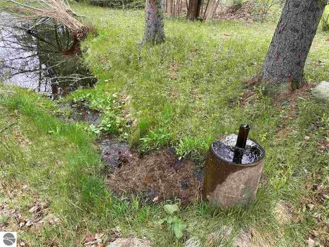 11199 S Cedar Rd, Cedar, MI 49621 photo 24