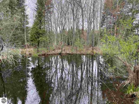 11199 S Cedar Rd, Cedar, MI 49621 photo 25
