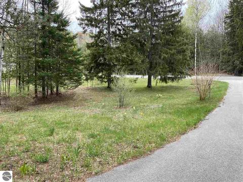 11199 S Cedar Rd, Cedar, MI 49621 photo 22