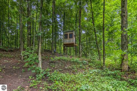 13499 S Cedar Rd, Cedar, MI 49621 photo 43