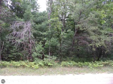 0 Hillside Dr, Alger, MI 48610 photo 1