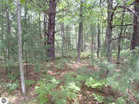 0 Hillside Dr, Alger, MI 48610 photo 5