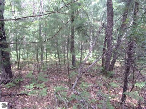 0 Hillside Dr, Alger, MI 48610 photo 3