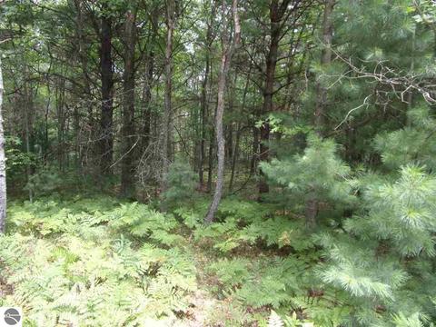 0 Hillside Dr, Alger, MI 48610 photo 2