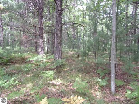 0 Hillside Dr, Alger, MI 48610 photo 6