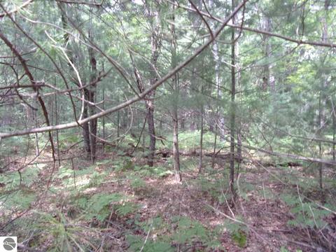 0 Hillside Dr, Alger, MI 48610 photo 4