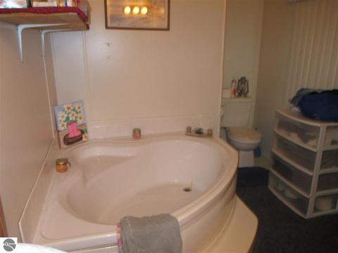 9581 E Remus Rd, Mount Pleasant, MI 48858 photo 12