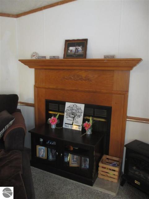 9581 E Remus Rd, Mount Pleasant, MI 48858 photo 10