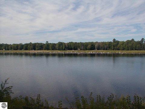 2909 Lakeshore Dr, Gladwin, MI 48624 photo 3