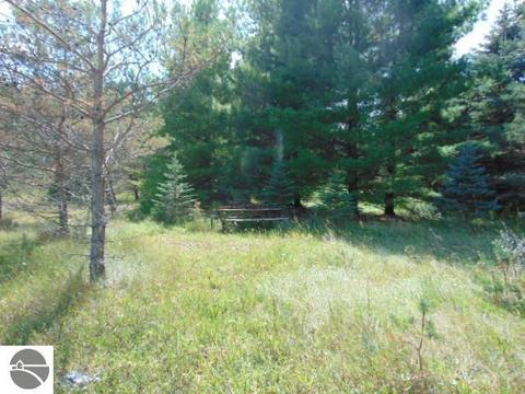 30 E Polk Rd, Ithaca, MI 48847 photo 12