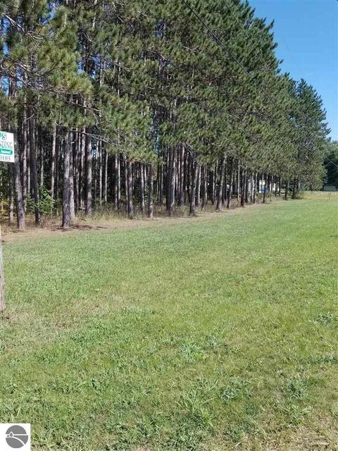 315 Elder Rd, Mancelona, MI 49659 photo 7
