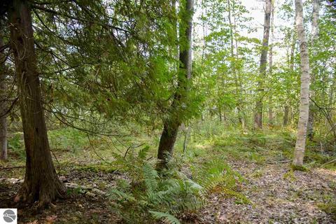 10404 Harmony Dr, Interlochen, MI 49643 photo 7