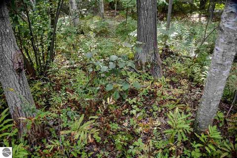 10404 Harmony Dr, Interlochen, MI 49643 photo 8