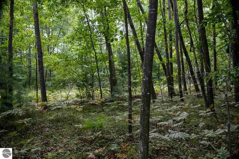 10404 Harmony Dr, Interlochen, MI 49643 photo 10