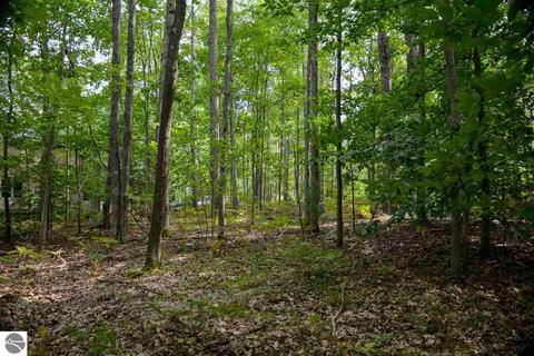 10404 Harmony Dr, Interlochen, MI 49643 photo 9