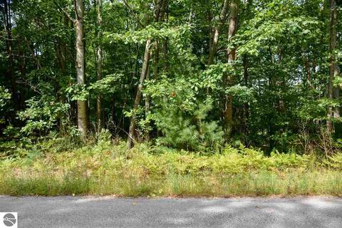 10404 Harmony Dr, Interlochen, MI 49643 photo 5