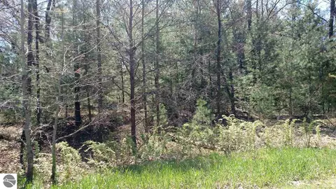 N/a Golfview Court, Au Gres, MI 48703 photo 3