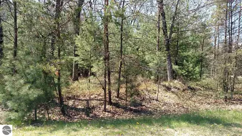 N/a Golfview Court, Au Gres, MI 48703 photo 2