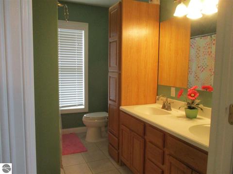 758 S Alger Rd, Ithaca, MI 48847 photo 26