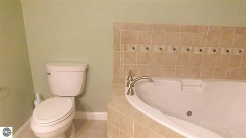758 S Alger Rd, Ithaca, MI 48847 photo 30