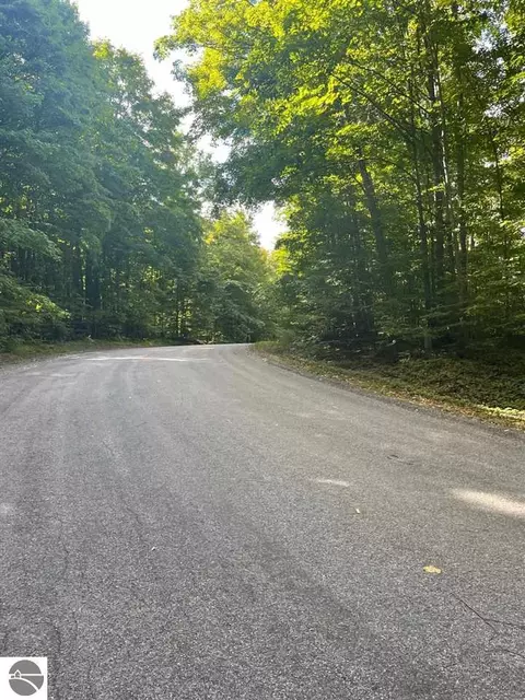 Hilltop Drive, Bellaire, MI 49615
