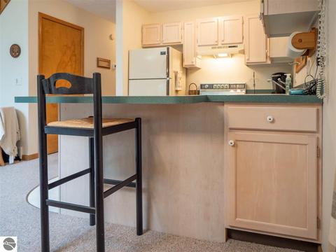 1787 E Old Mountain Rd, Cedar, MI 49621 photo 13