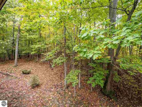 1787 E Old Mountain Rd, Cedar, MI 49621 photo 28
