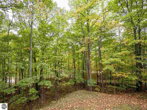 1787 E Old Mountain Rd, Cedar, MI 49621 photo 29