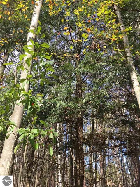 Lot 60 & 61 Todd Drive, Prescott, MI 48756
