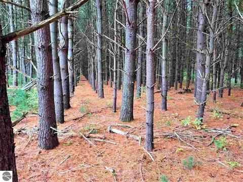 899 E 16 Rd, Mesick, MI 49668 photo 25