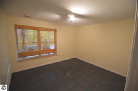 4019 S Bluff Cir, Cedar, MI 49621 photo 21
