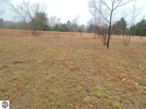 6450 E M-42, Manton, MI 49663 photo 7