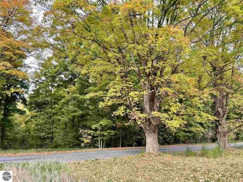 4427 Wright Rd, Bellaire, MI 49615 photo 10
