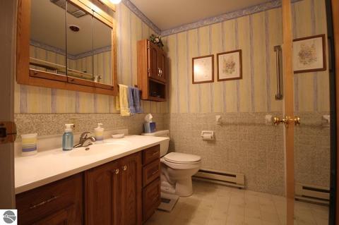 405 S Chippewa St, Shepherd, MI 48883 photo 25