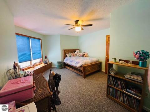 9931 E 22 Rd, Manton, MI 49663 photo 28