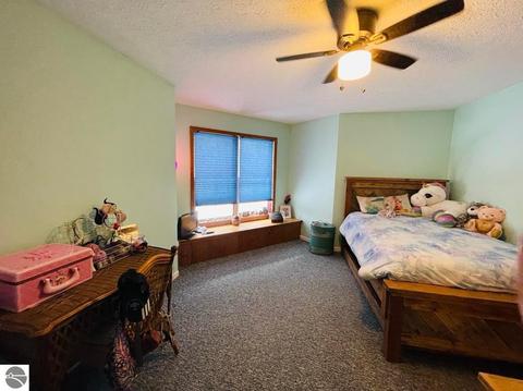 9931 E 22 Rd, Manton, MI 49663 photo 29